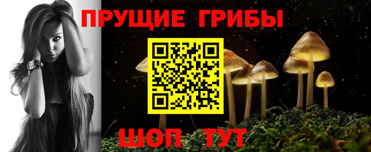 купить  цена  Галлюциногенные грибы мухоморы  Вход с VPN  Галлюциногенные грибы MAGIC MUSHROOMS  Зерноград 